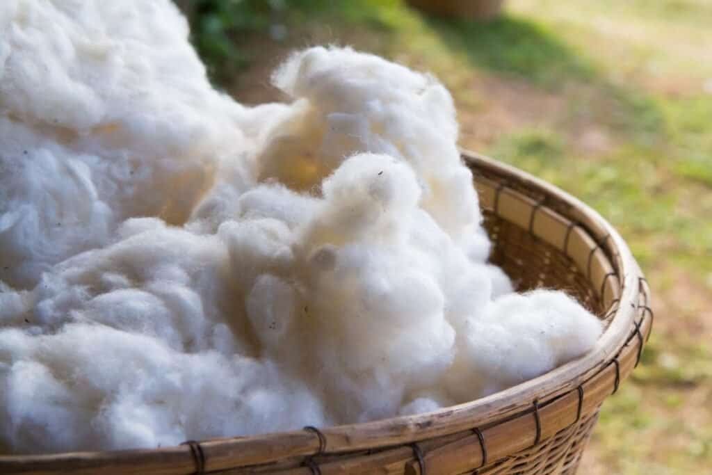 Unprocessed raw wool in a woven basket, showcasing natural fiber for sustainable and holistic home textiles. Ideal for eco-friendly home decor, natural fiber crafts, and sustainable living.