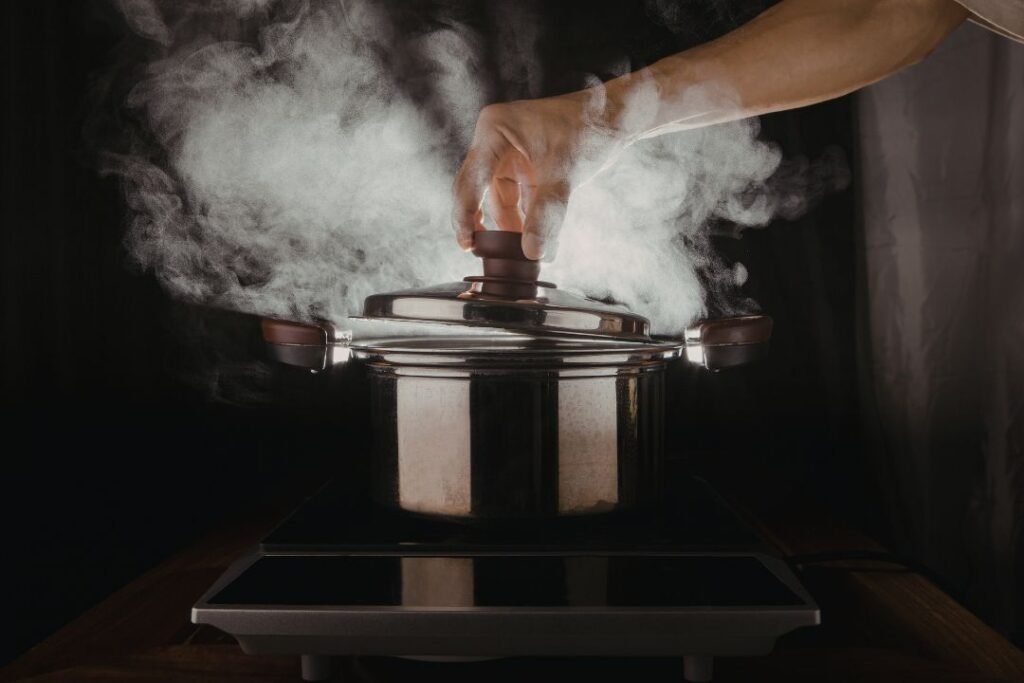 Best Stainless Steel Pressure Cooker for non toxic home cooking