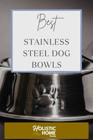 Elegant stainless steel dog bowls for sustainable, toxin-free pet care at home.